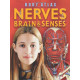 Nerves, Brain and Senses by ''Steve Parker''